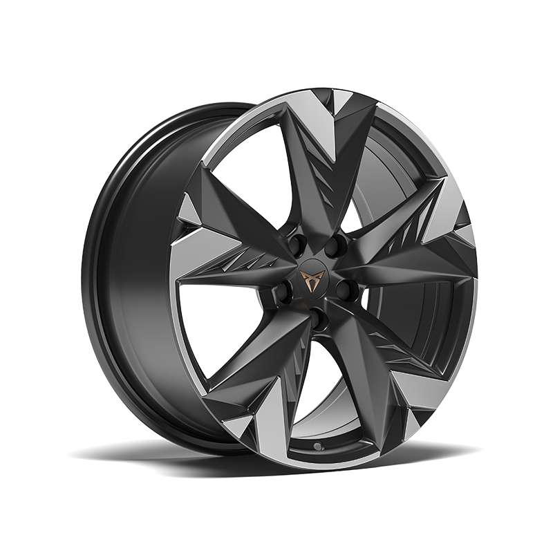 Cupra Terramar disponible amb llandes spectrum en color plata.
